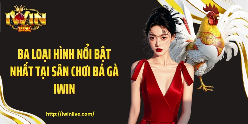 Ba loại hình nổi bật nhất tại sân chơi đá gà IWIN