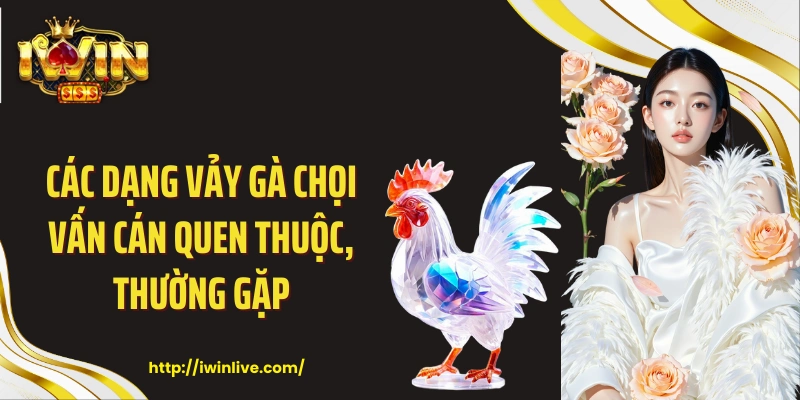 Các dạng vảy gà chọi vấn cán quen thuộc, thường gặp