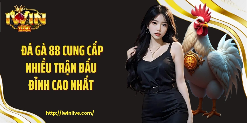 Đá gà 88 cung cấp nhiều trận đấu đỉnh cao nhất 