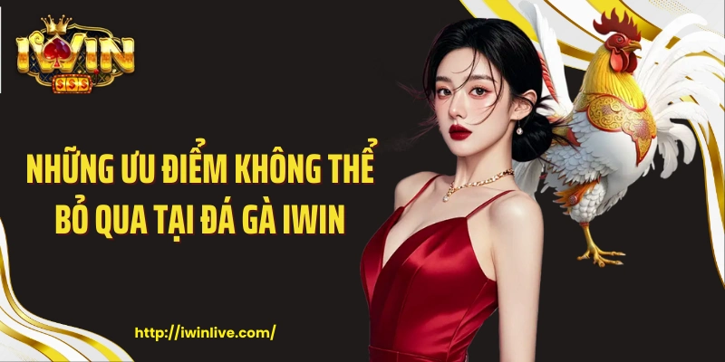 Những ưu điểm không thể bỏ qua tại đá gà IWIN
