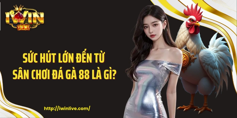 Sức hút lớn đến từ sân chơi đá gà 88 là gì?