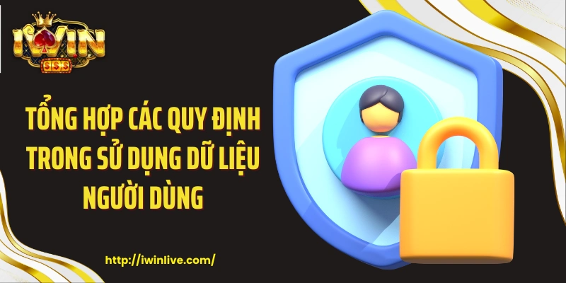 Tổng hợp các quy định trong sử dụng dữ liệu người dùng